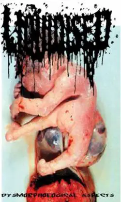 Liquidised : Dysmorphological Aspects